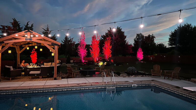 Blingle! Premier Lighting wins Reader’s Choice for Omaha World-Herald’s 10th annual awards